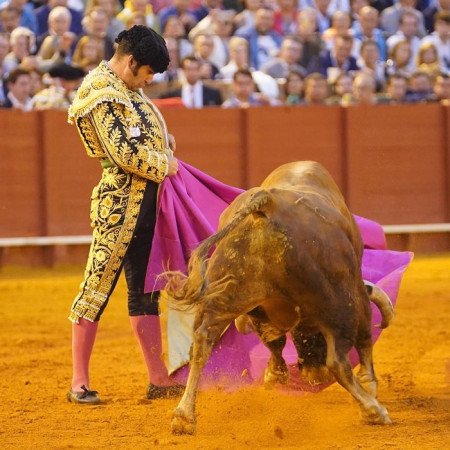 Sevilla: Solvencia y Magisterio